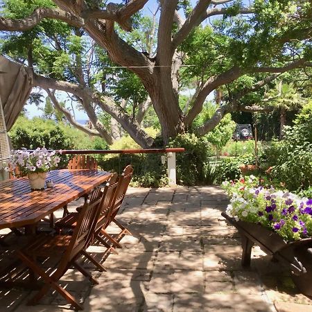 Oceangolf Guest House Noordhoek Exterior foto