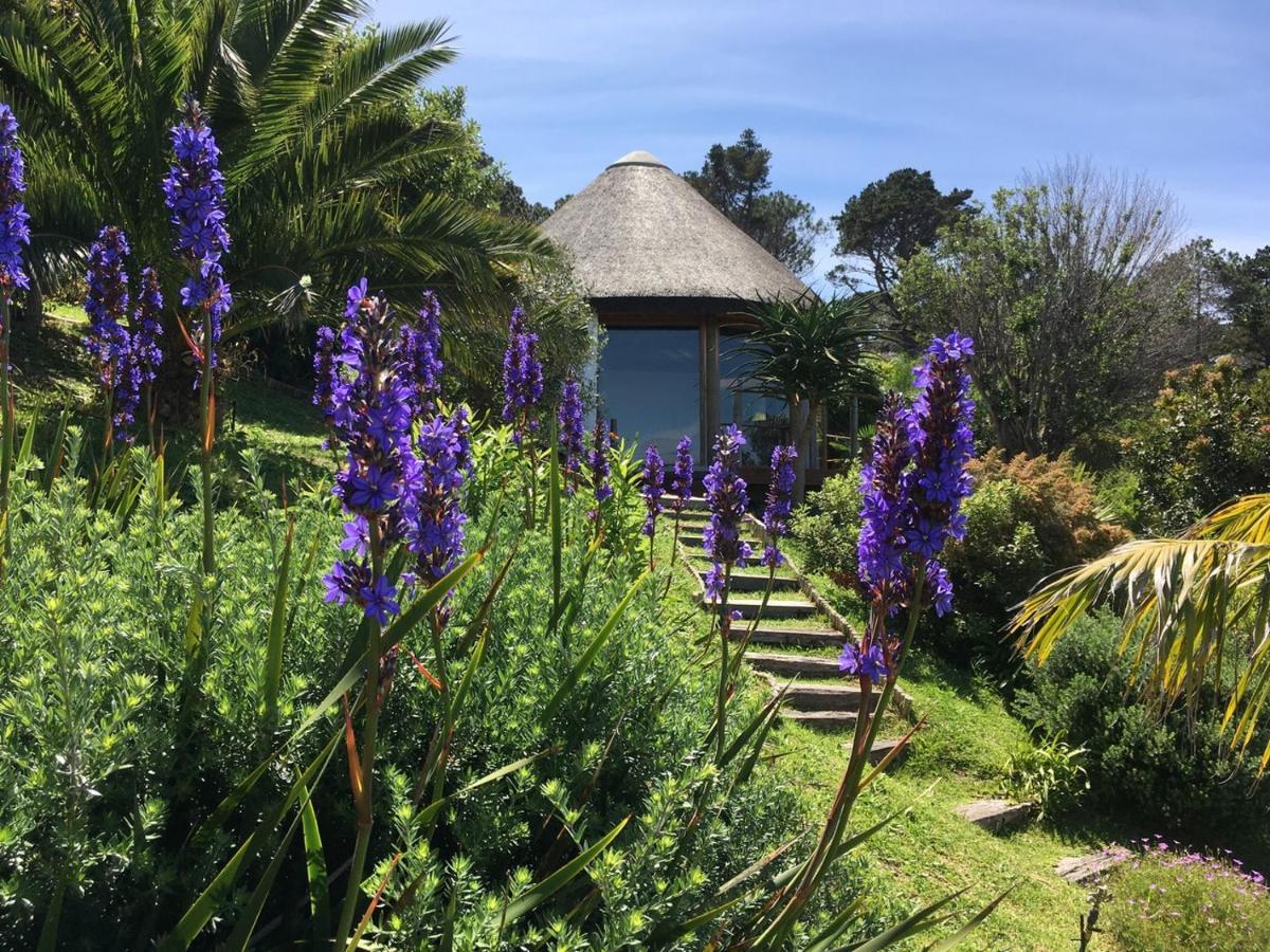 Oceangolf Guest House Noordhoek Exterior foto